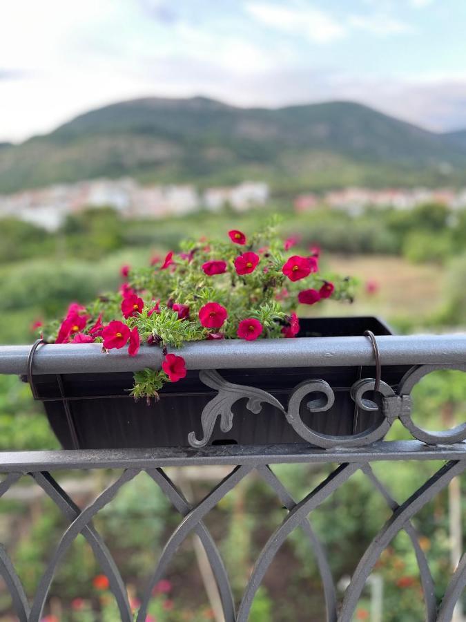 Apartament Petivat Gardens Zewnętrze zdjęcie