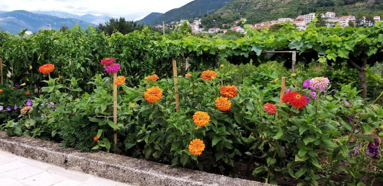 Apartament Petivat Gardens Zewnętrze zdjęcie